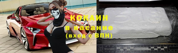 МДПВ Ельня