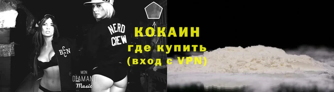 стафф Дмитров