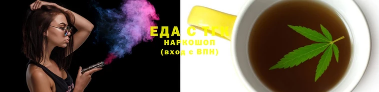 МДПВ Ельня