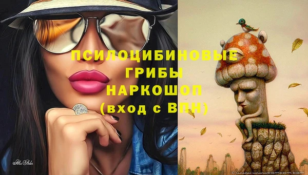 стафф Дмитров