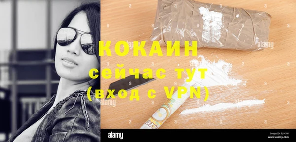 стафф Дмитров