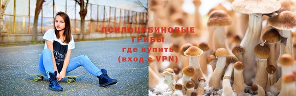 MDMA Premium VHQ Дмитриев